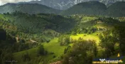 Resedinta pensiune, in areal privilegiat. cu 1.000 mp teren 