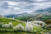 Resedinta pensiune, in areal privilegiat. cu 1.000 mp teren 