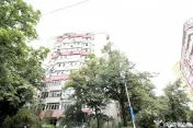TEIUL DOAMNEI, BLOC 1984, DECOMANDAT, RENOVAT, NEMOBOILAT! 