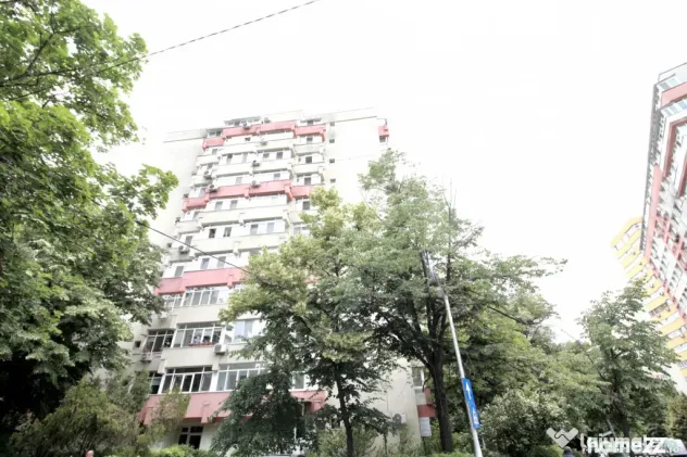 TEIUL DOAMNEI, BLOC 1984, DECOMANDAT, RENOVAT, NEMOBOILAT! - Bucuresti (Bucuresti-Ilfov)