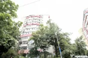 TEIUL DOAMNEI, BLOC 1984, DECOMANDAT, RENOVAT, NEMOBOILAT! 