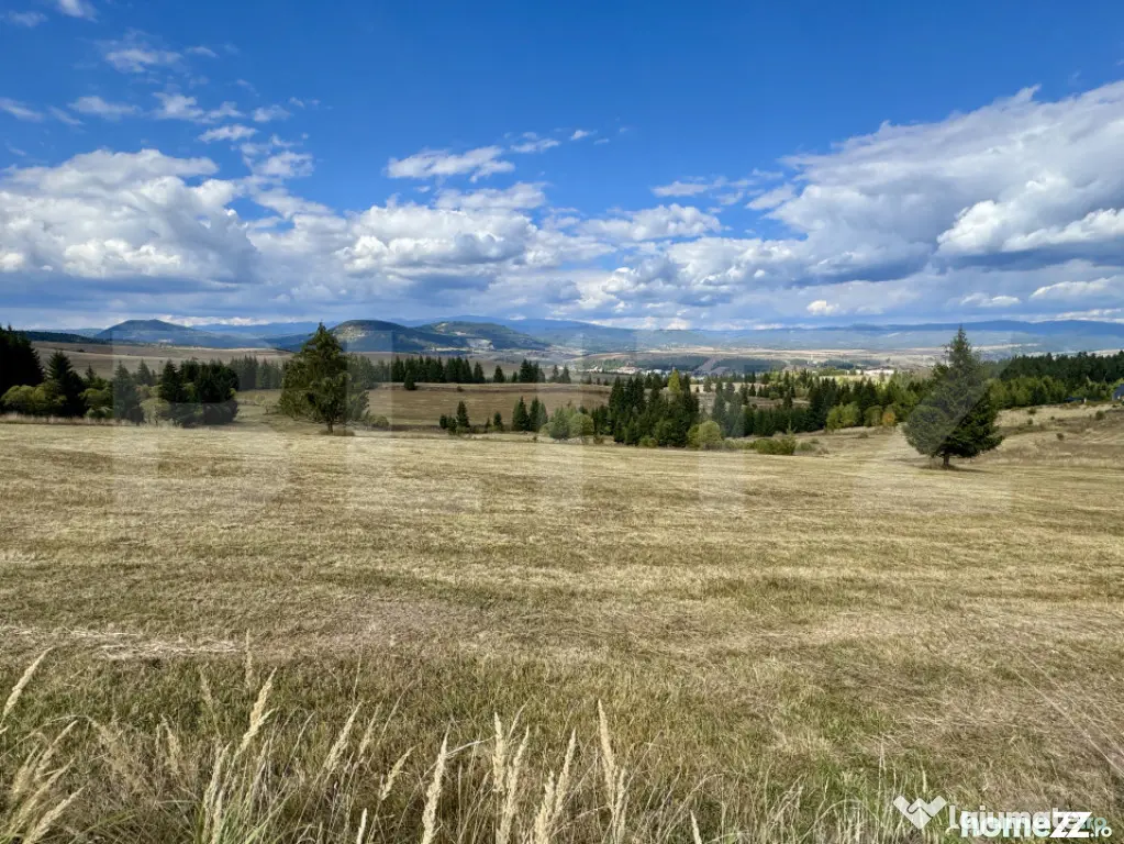 Teren de vanzare-ideal pentru cabane-lângă pârtia de schi - Targu Mures (Mures)