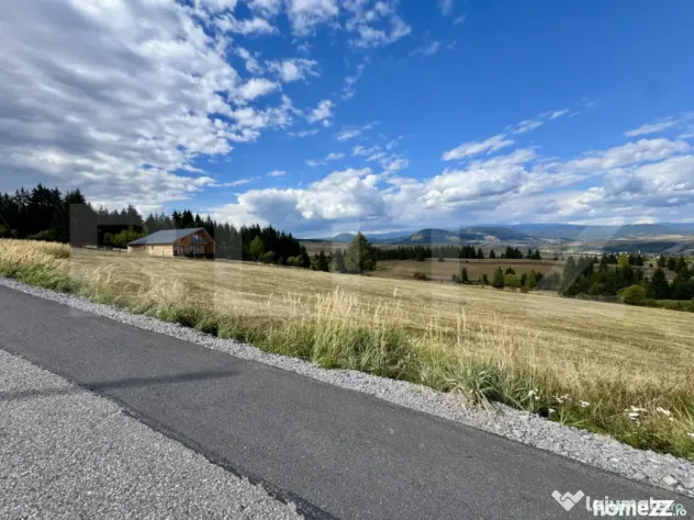 Teren de vanzare-ideal pentru cabane-lângă pârtia de schi - Targu Mures (Mures)