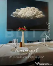 Afacere la cheie: Restaurant Homemade Timișoara. 100% autor