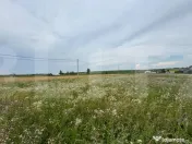 Loturi teren 700 mp Rachiti, Botosani