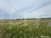 Loturi teren 700 mp Rachiti, Botosani