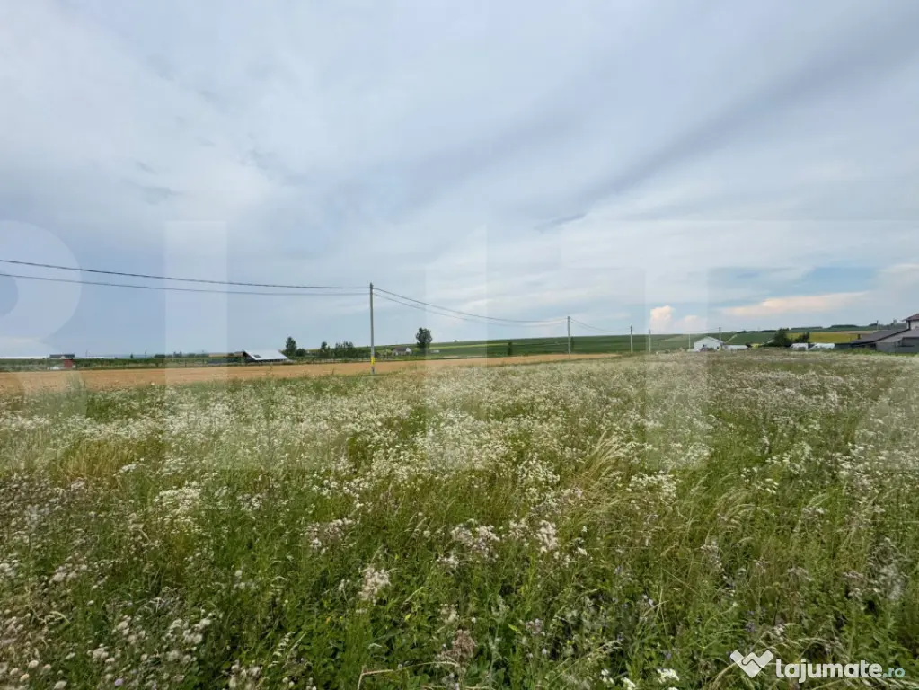 Loturi teren, 700 mp, Rachiti, Botosani
