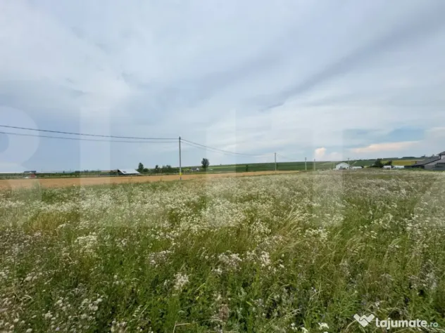 Loturi teren, 700 mp, Rachiti, Botosani
