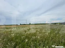 Loturi teren, 700 mp, Rachiti, Botosani