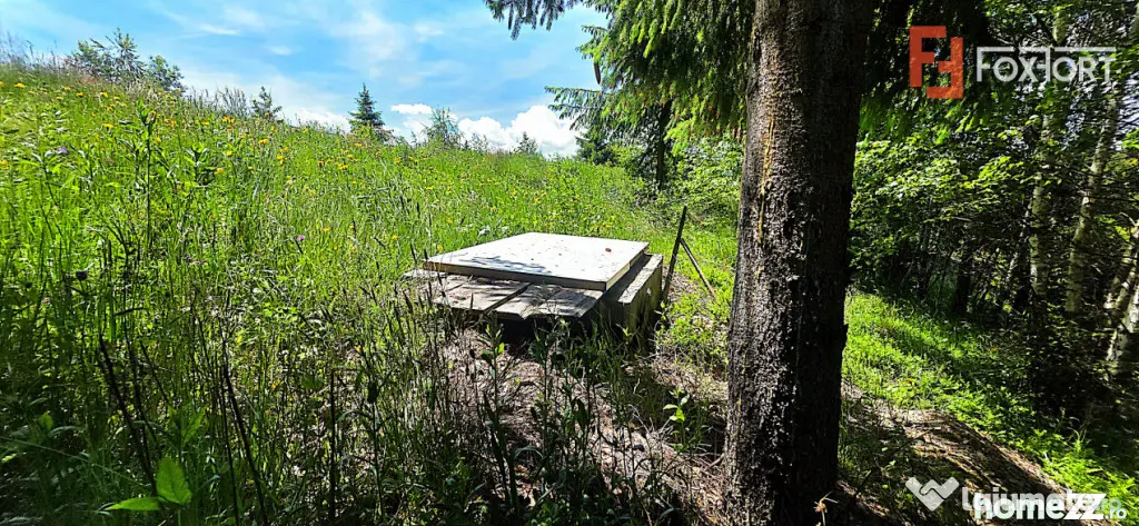 Teren intravilan pretabil constructii de vanzare in Costesti - Campeni (Alba)