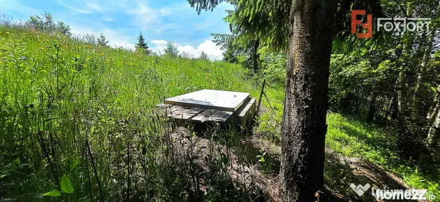 Teren intravilan pretabil constructii de vanzare in Costesti - Campeni (Alba)