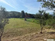 Teren in Berinta la Drumul Principal 