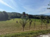Teren in Berinta la Drumul Principal