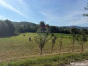 Teren in Berinta la Drumul Principal 