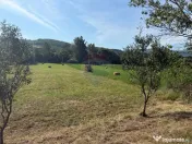 Teren in Berinta la Drumul Principal