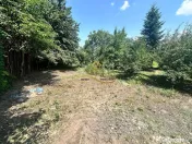 Teren intravilan de vanzare Bacau