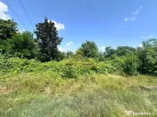 Teren intravilan de vanzare Bacau