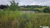 Teren intravilan 2700 mp, Moara-Bulai / Strada Hagigadar,...