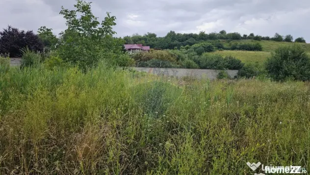 Teren intravilan 2700 mp, Moara-Bulai / Strada Hagigadar,...