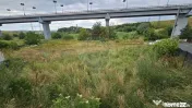 Teren intravilan 2700 mp, Moara-Bulai / Strada Hagigadar,...