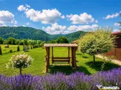 Refugiu pretios:jacuzzi, lemn masiv,2.000 mp teren,4 dormito 