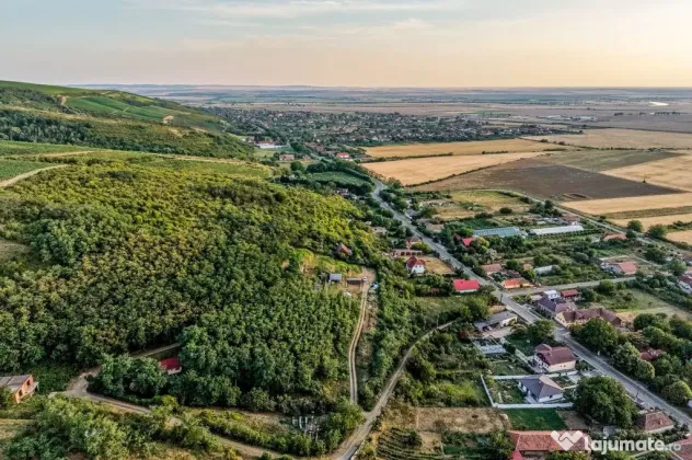 Teren pe deal, 1.150 mp, în Miniș, front 26 m, Drumul V...