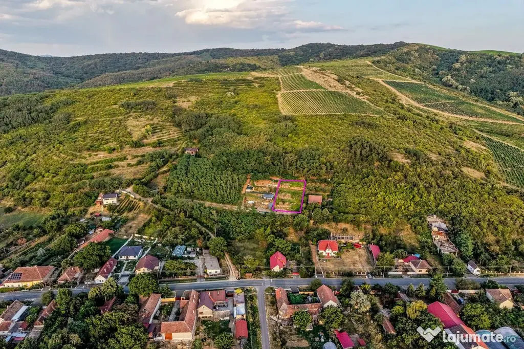 Teren pe deal, 1.150 mp, în Miniș, front 26 m, Drumul V...