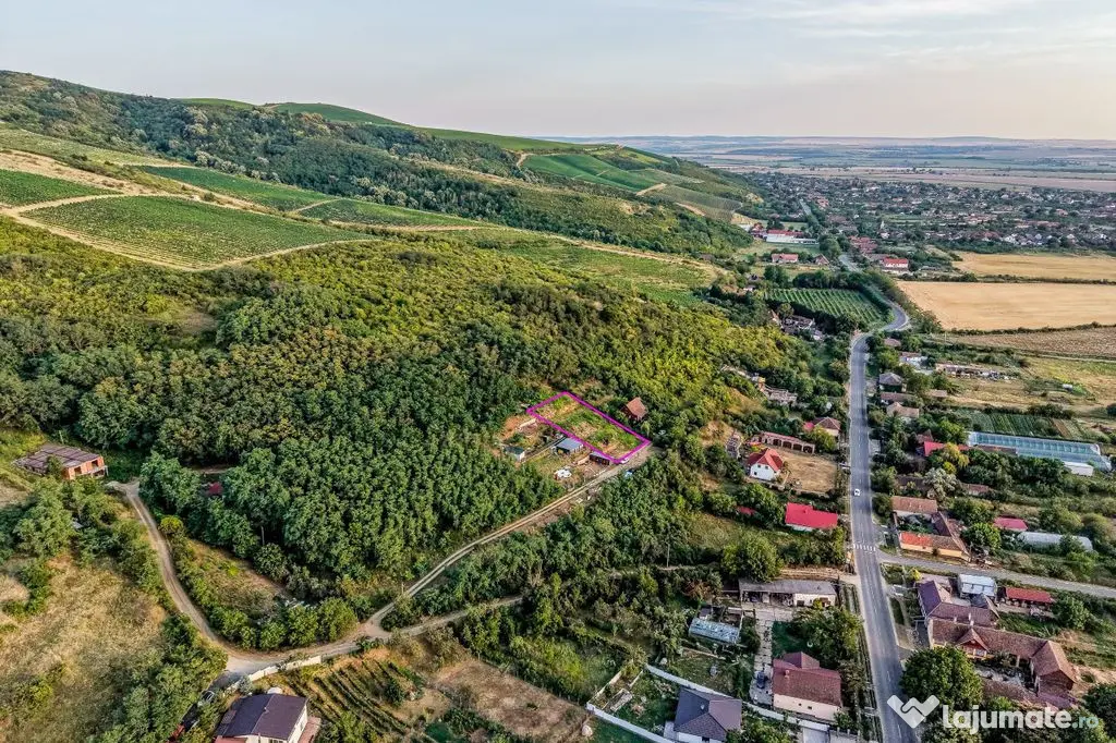 Teren pe deal, 1.150 mp, în Miniș, front 26 m, Drumul V...