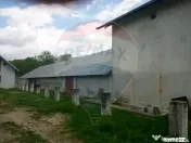 Teren intravilan si construcții în comuna Dragodana, sa... 