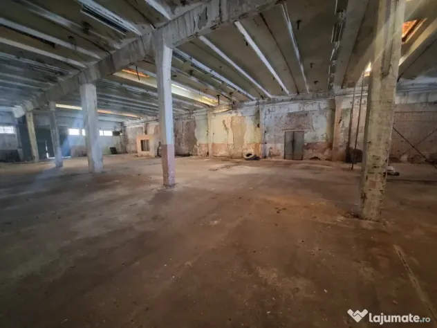 Inchiriez hala 6.886 mp construiți | Teren 11.510 mp | Lipova, jud. Ar