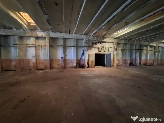 Inchiriez hala 6.886 mp construiți | Teren 11.510 mp | Lipova, jud. Ar