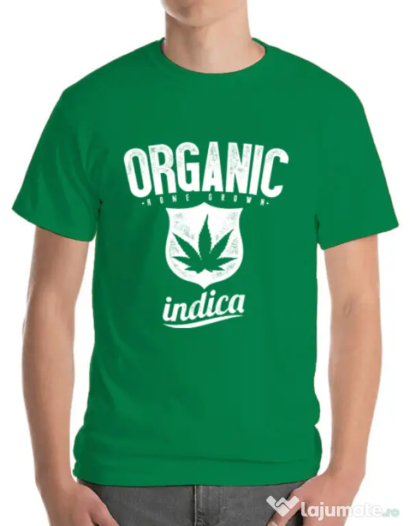 Tricou ADLER barbat Indica Verde mediu