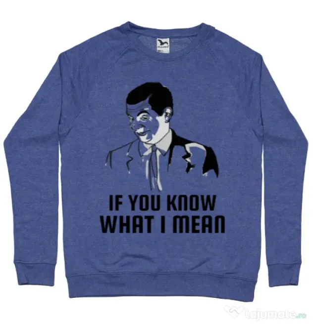 Bluza ADLER barbat If you know what i mean Albastru melanj
