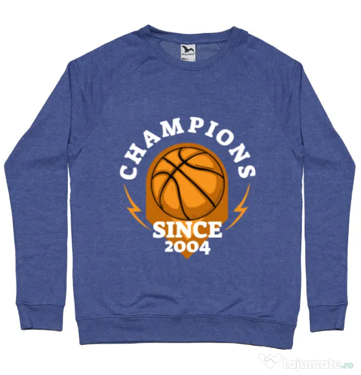 Bluza ADLER barbat Champions Albastru melanj