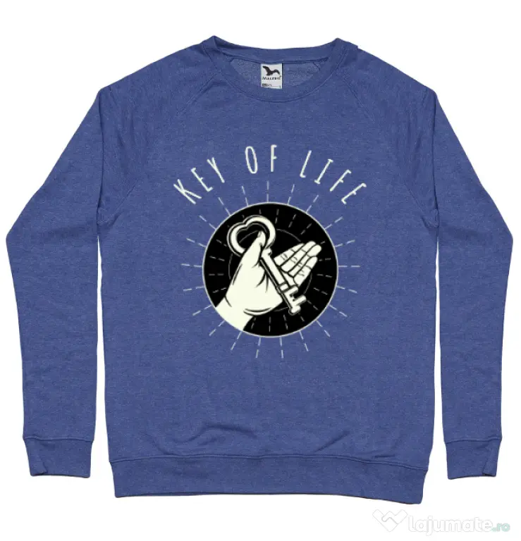 Bluza ADLER barbat Key Of Life Albastru melanj