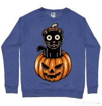 Bluza ADLER barbat Pumpcat Albastru melanj