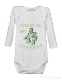 Baby body What is my purpose Alb