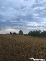 TEREN INTRAVILAN//PAULESTI//2930MP