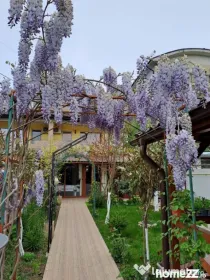 Casă P+1+M de vânzare, 5 camere, foișor, bucătărie de v