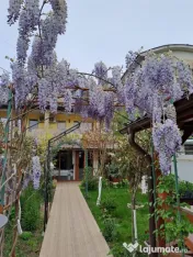 Casă P+1+M de vânzare, 5 camere, foișor, bucătărie de v 