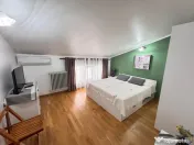 Casă P+1+M de vânzare, 5 camere, foișor, bucătărie de v 