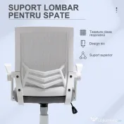 Vinsetto Scaun de Birou Ergonomic cu Suport Lombar din Țesătură, Gri | Aosom Romania