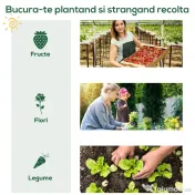 Outsunny sera de gradina, pentru plante, legume , fructe, protectia plantelor 80x49x160cm, verde | Aosom Romania