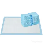 PawHut Set 100 Covoare Absorbante pentru Câini cu 6 Straturi, Covoare Igienice pentru Câini, 45x30 cm, Albastru | Aosom Romania