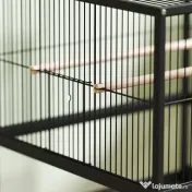 Pawhut Cușcă Metalică Rotile Acrilic Negru | Aosom Romania 