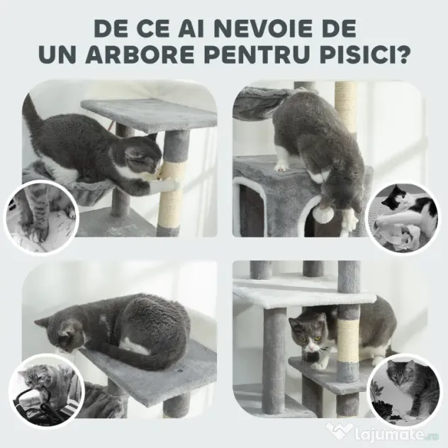 PawHut Arborele pentru Pisici cu Căsuțe, Rampe, Stinghie și 4 Mingi, Gri | Aosom Romania