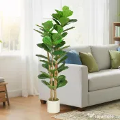 HOMCOM Plantă Artificială Ficus Lyrata 150 cm - Verde | Aosom Romania 