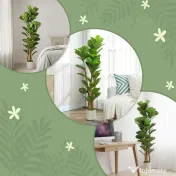HOMCOM Plantă Artificială Ficus Lyrata 150 cm - Verde | Aosom Romania 