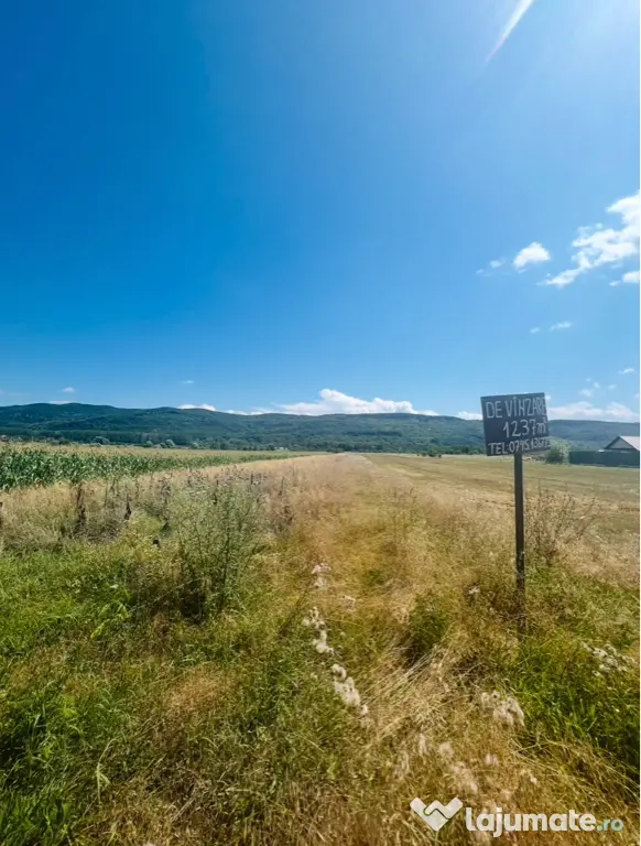 Teren intravilan