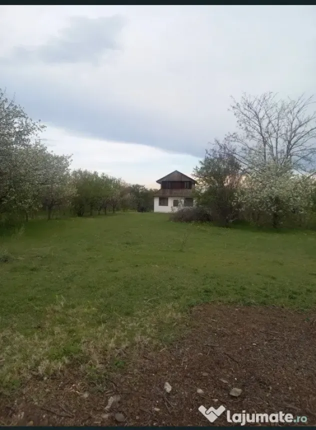 Teren cu construcție